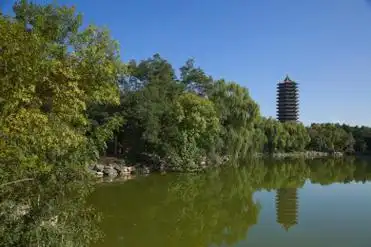 贴吧图片